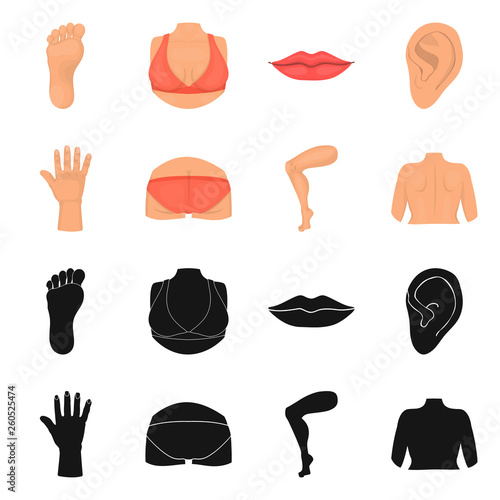 Vector design of body and part icon. Collection of body and anatomy stock symbol for web.