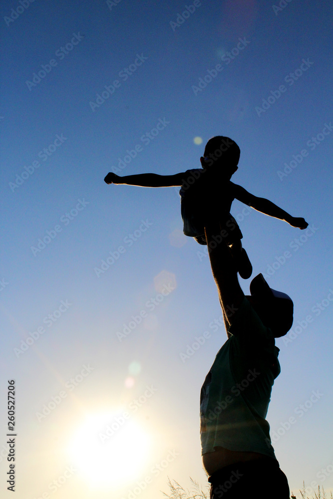 Fototapeta premium volar