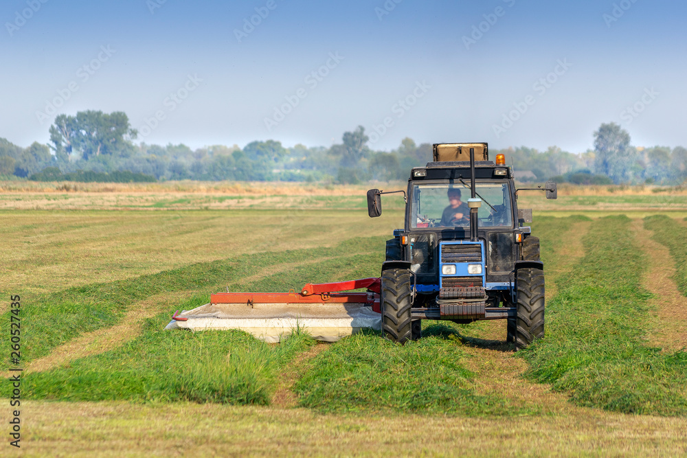 Fototapeta premium Farmer mowing the grass using a tractor with a mower