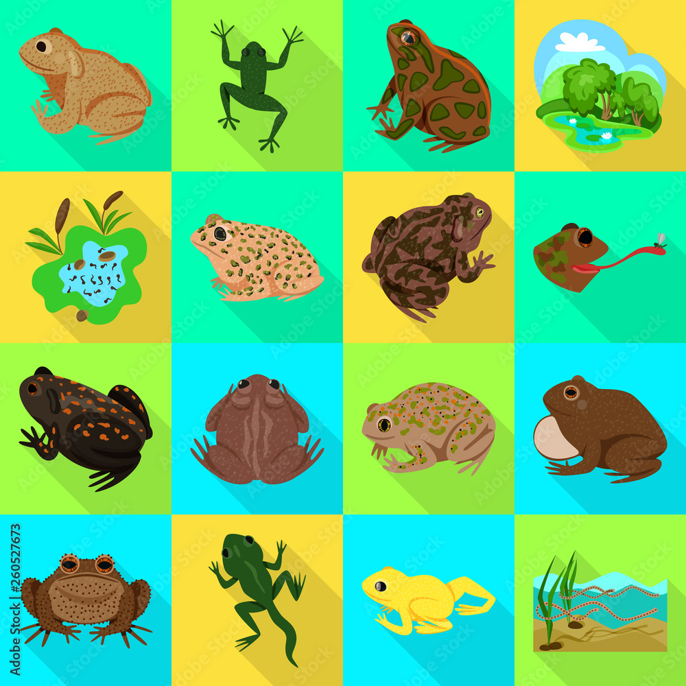 Vector illustration of wildlife and bog sign. Set of wildlife and reptile stock vector illustration.