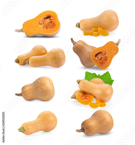 set of butternut squash isolated on white background