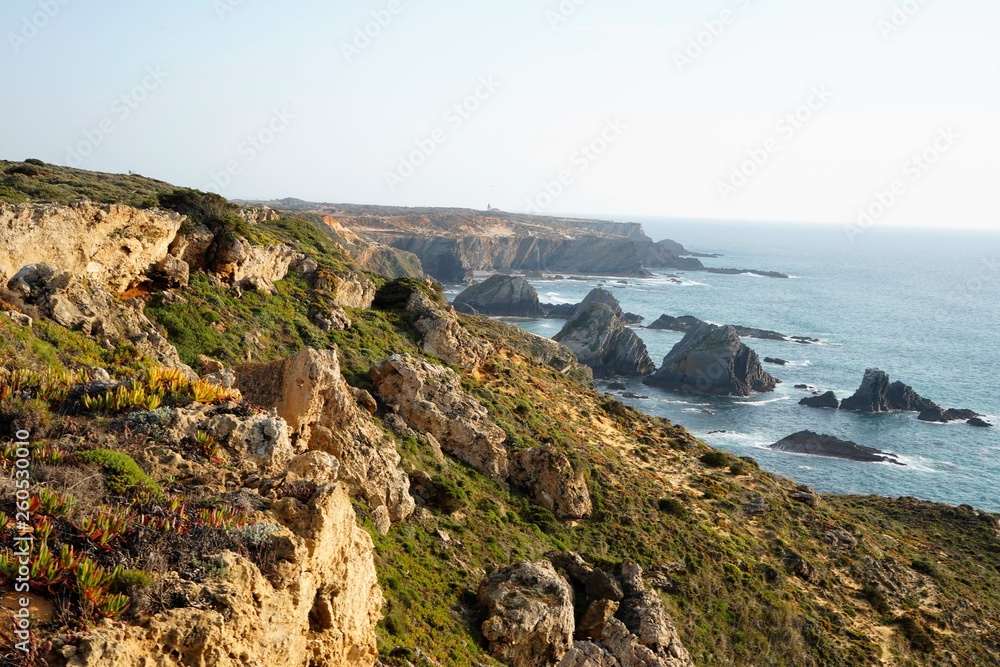 Coast of sea, cliffs with green plants and rock formations in the water. Rota Vicentina, Alentejo, Portugal