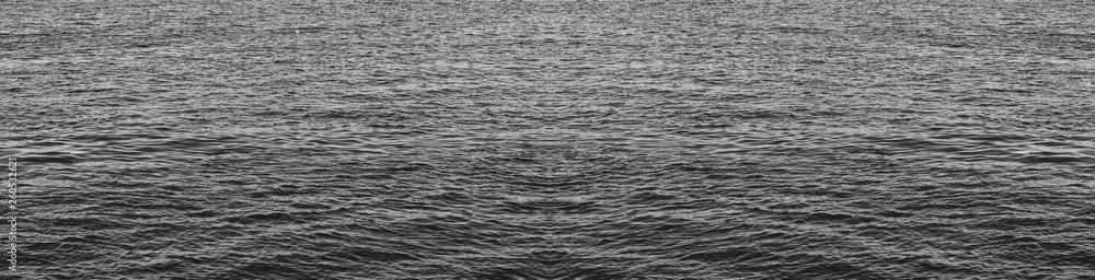 Obraz premium Water surface black and white background. Calm water monochrome view, black and white elongated banner