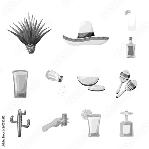 Vector illustration of fajita and fiesta sign. Collection of fajita and celebration stock symbol for web.