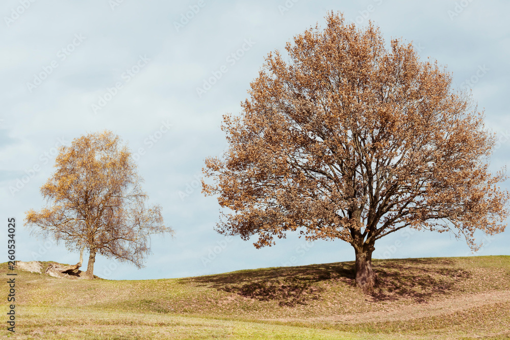 Fototapeta premium Herbstzauber