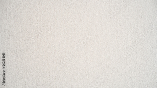  white paper texture wall