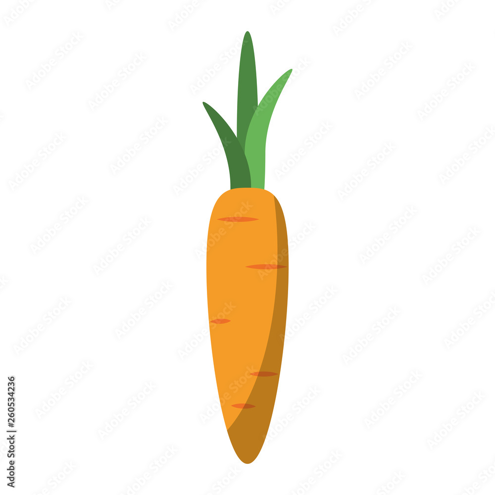 Carrot fresh vegetable Carrot fresh vegetable