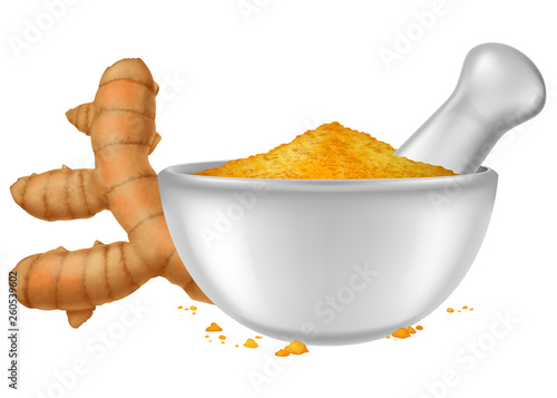 Porcelain mortar and pestle with turmeric (curcuma longa) powder and fresh turmeric root. Vector illustration.