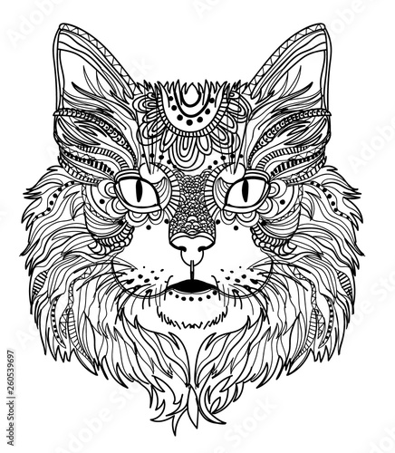 The head of a cat. Fluffy kitten. Drawing manually in vintage style. Meditative coloring. Coloring for children. Arrows, points, patterns.