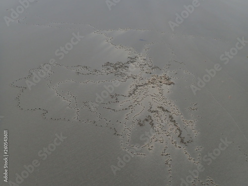 A closeup and macro shot of sandy beach background and prints.