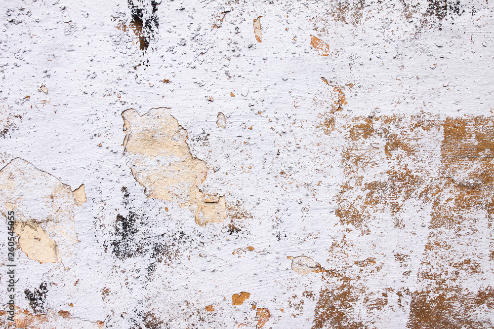 Background from high detailed fragment stone white wall Background from high detailed fragment stone white wall