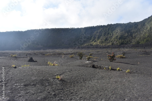 Former Volcano Crater in Hawaii Forest grown back around the sides and grennery starting to break through the rough volcanic rock photo