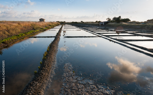 Marais salant à l'île de Ré