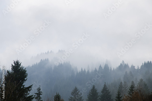 Foggy mountains are a picturesque landscape