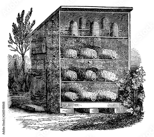 Vintage Vector Drawing or Engraving of Antique Old Style Bee Hive or Beehive or Apiary Yard or Shelter