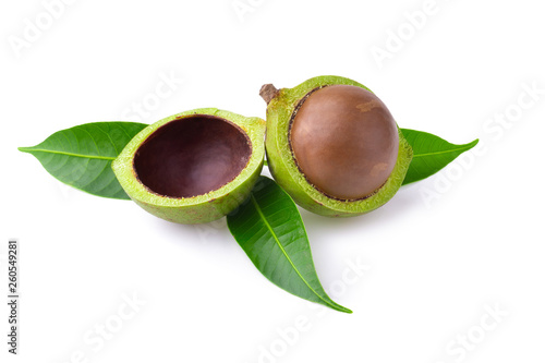 Macadamia nuts isolated on a white background photo