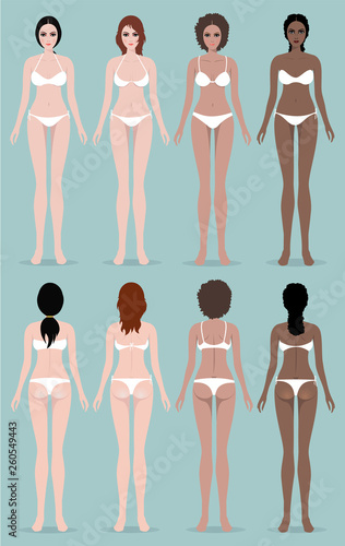 Female body front and back. Picture demonstrates female body proportions. 