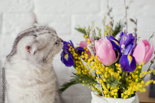 cat and bright bouquet