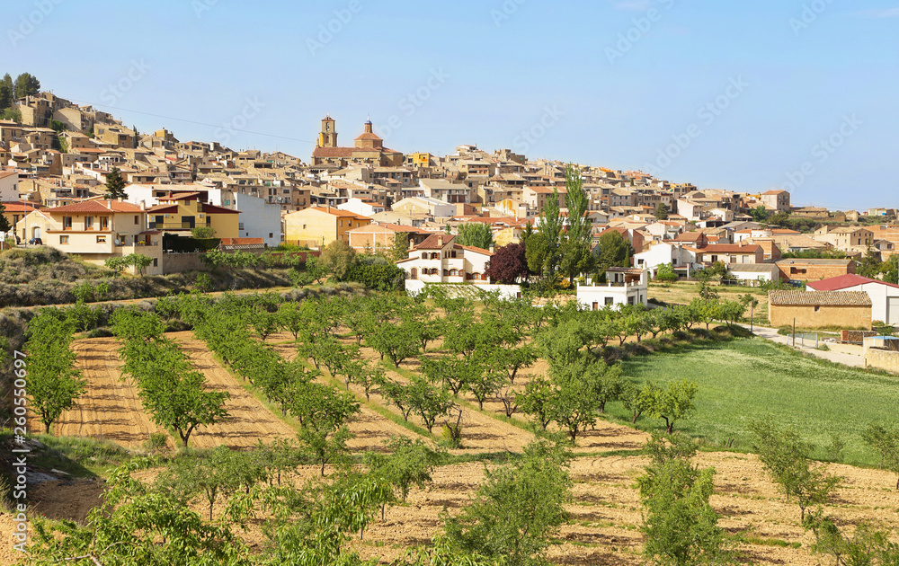 General view of Calaceite, Teruel, Spain