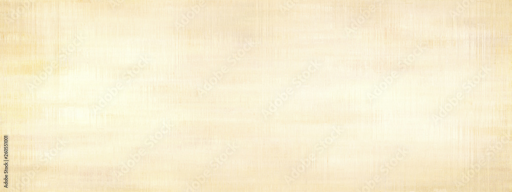 Grunge panoramic scratched texture. Grunge panoramic scratched texture.