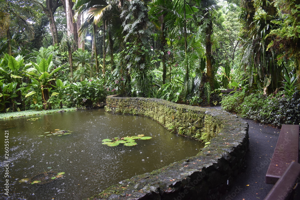 Pond along a stone wall in the middle of a rain storm with rain falling into the water creating ripples Pond along a stone wall in the middle of a rain storm with rain falling into the water creating ripples
