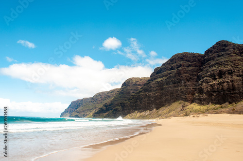 beautiful sand beach  Hawaii  
