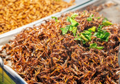 grass hopper fried on street market