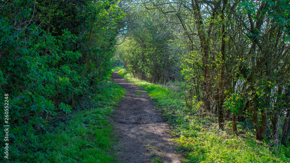 Country Path heading off into the distance Country Path heading off into the distance