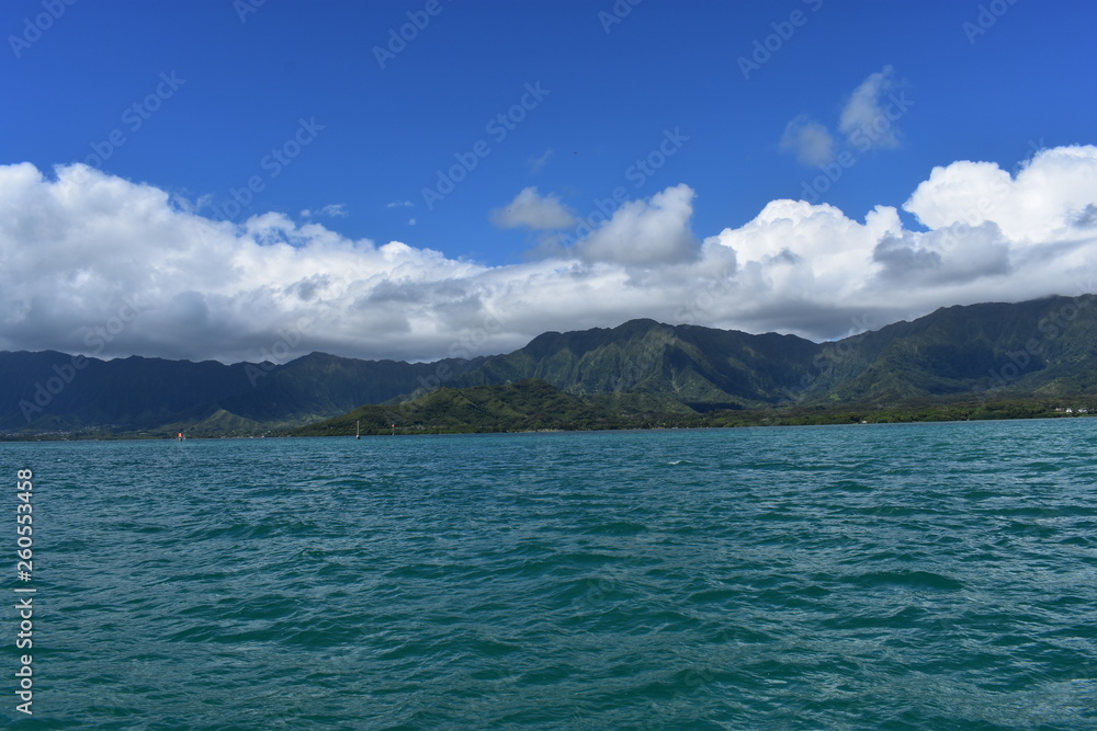 Mountains along the Pacific Ocean. Dense jungle growing around and up the steep slopes under a beautiful blue sky