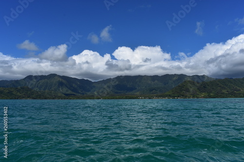 Mountains along the Pacific Ocean. Dense jungle growing around and up the steep slopes under a beautiful blue sky