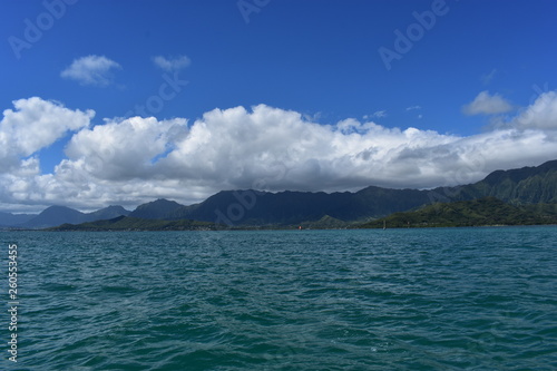 Mountains along the Pacific Ocean. Dense jungle growing around and up the steep slopes under a beautiful blue sky