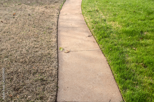 Sidewalk with green fescue on one side and brownish bermuda grass on the other side in the springtime