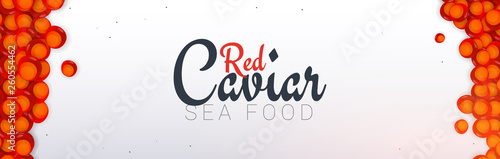 Red Caviar banner. Delicious seafood background. Caviar vector illustration. Natural and healthy luxury food. Design for fish menu. Vector Illustration.