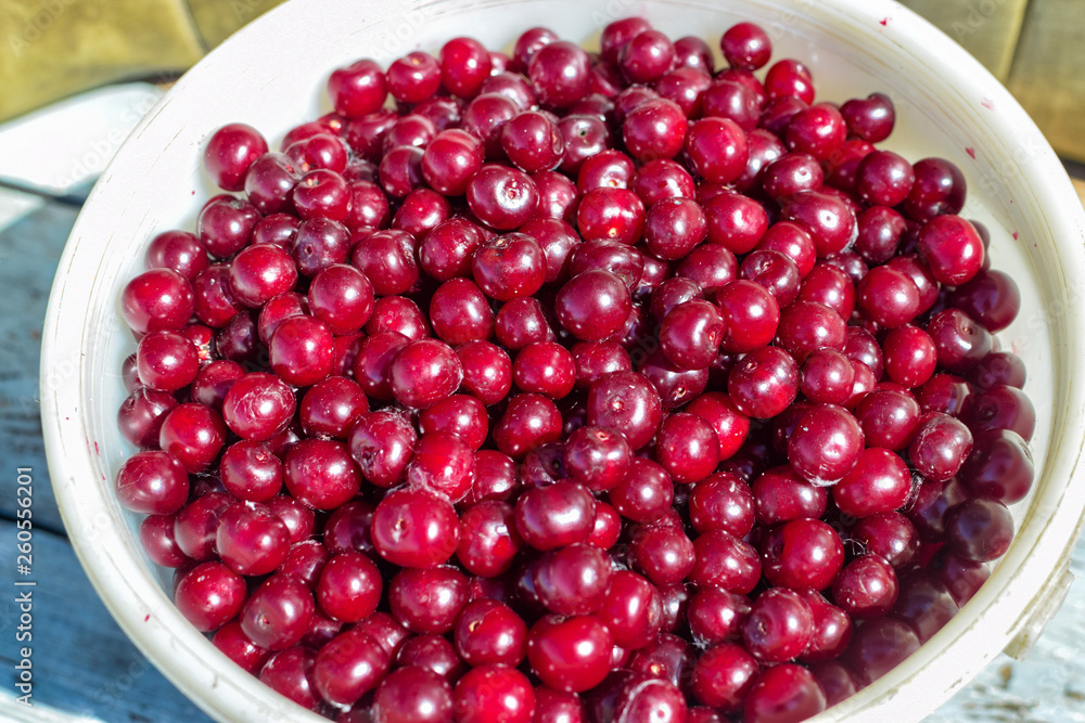 Heap of red cherry in white bucket in summer Heap of red cherry in white bucket in summer