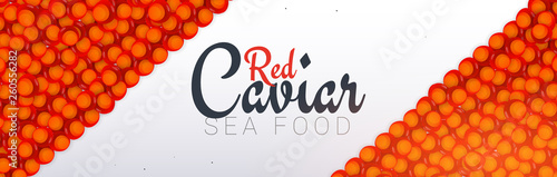 Red Caviar banner. Delicious seafood background. Caviar vector illustration. Natural and healthy luxury food. Design for fish menu. Vector Illustration.
