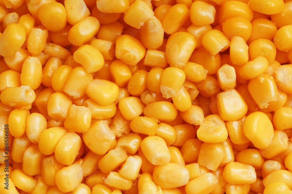 Golden canned corn, as distributed on a plane background and texture of popcorn. Before watching a movie top view. Close-up Golden canned corn, as distributed on a plane background and texture of popcorn. Before watching a movie top view. Close-up