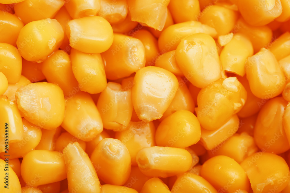Golden canned corn, as distributed on a plane background and texture of popcorn. Before watching a movie top view. Close-up Golden canned corn, as distributed on a plane background and texture of popcorn. Before watching a movie top view. Close-up