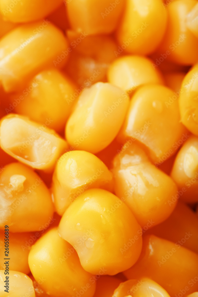 Golden canned corn, as distributed on a plane background and texture of popcorn. Before watching a movie top view. Close-up Golden canned corn, as distributed on a plane background and texture of popcorn. Before watching a movie top view. Close-up