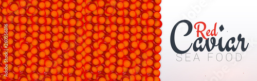 Red Caviar banner. Delicious seafood background. Caviar vector illustration. Natural and healthy luxury food. Design for fish menu. Vector Illustration.