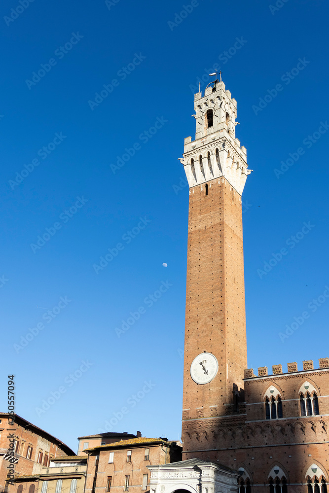 Fototapeta premium Siena's famous landmark tall bell tower on a solid blue sky
