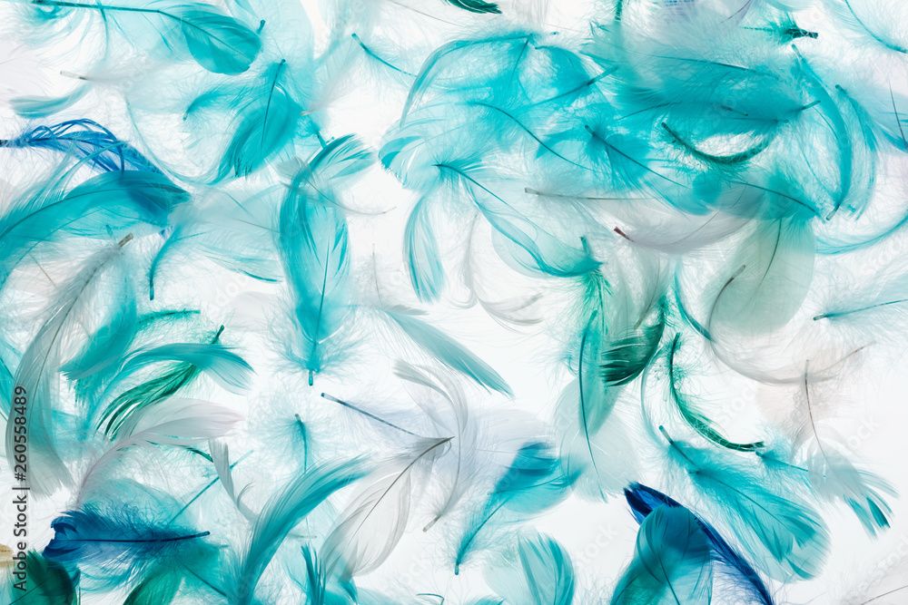 seamless background with multicolored bright green, grey and turquoise soft feathers isolated on white