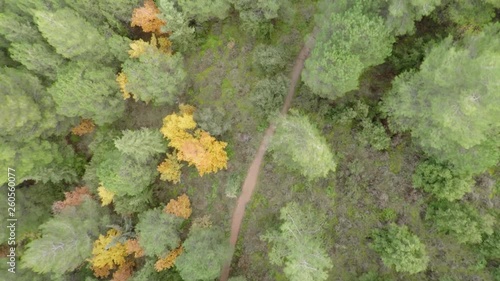 Slow motion drone flight above forest path photo