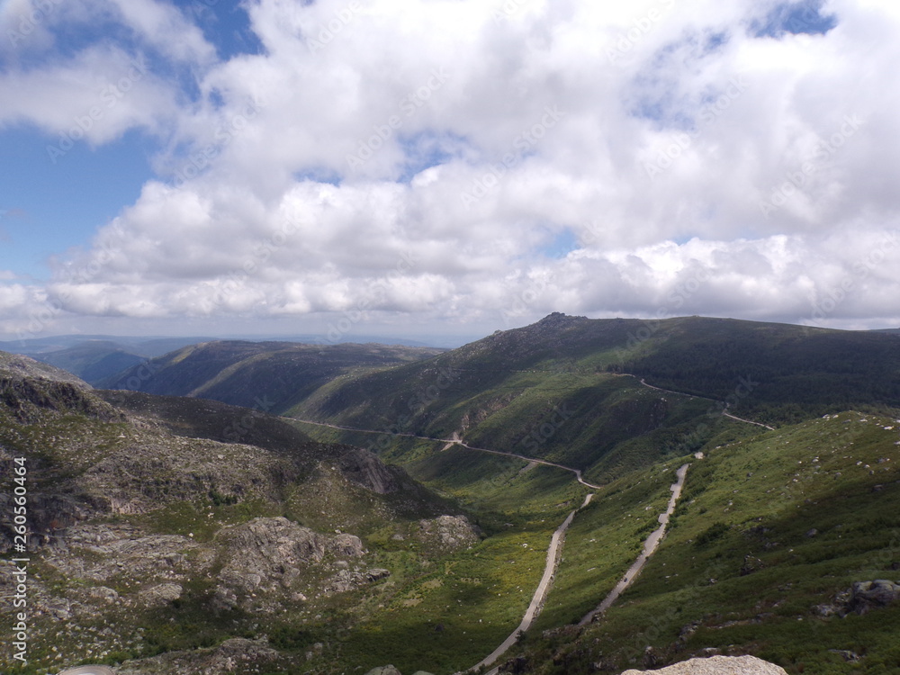 Naklejka premium KODAK Digital Still Camera