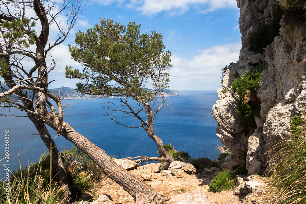 Bay of Pollenca on Mallorca