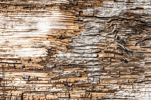Brown wooden board texture. Weathered and dried natural pattern backdrop.