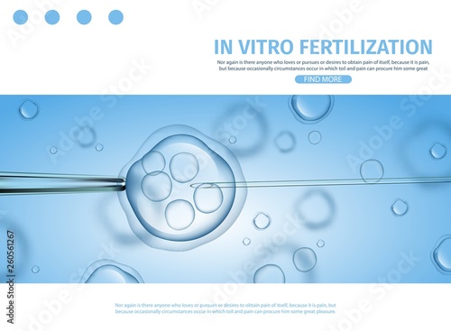 Human Fertilized Egg in Petri Dish and Needle photo