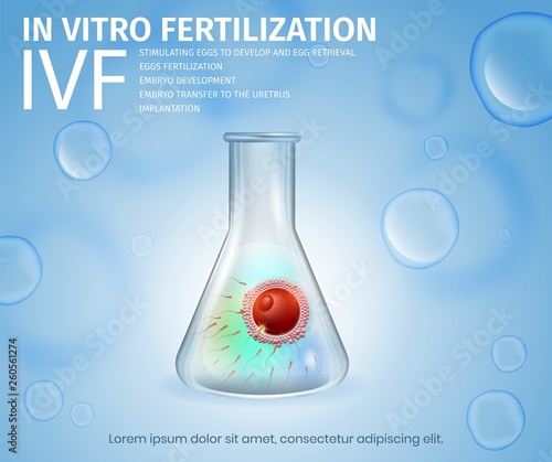 Female Egg and Sperm Union Inside of Glass Beaker.