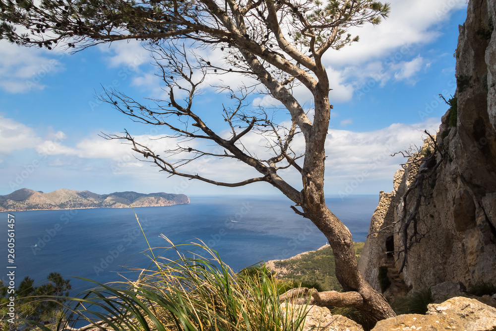 Bay of Pollenca on Mallorca