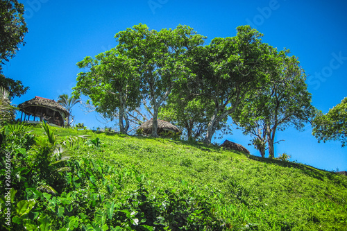 Nature and relax in the area of the famous To Sua Trench in Samoa, Upolu, Pacific island photo