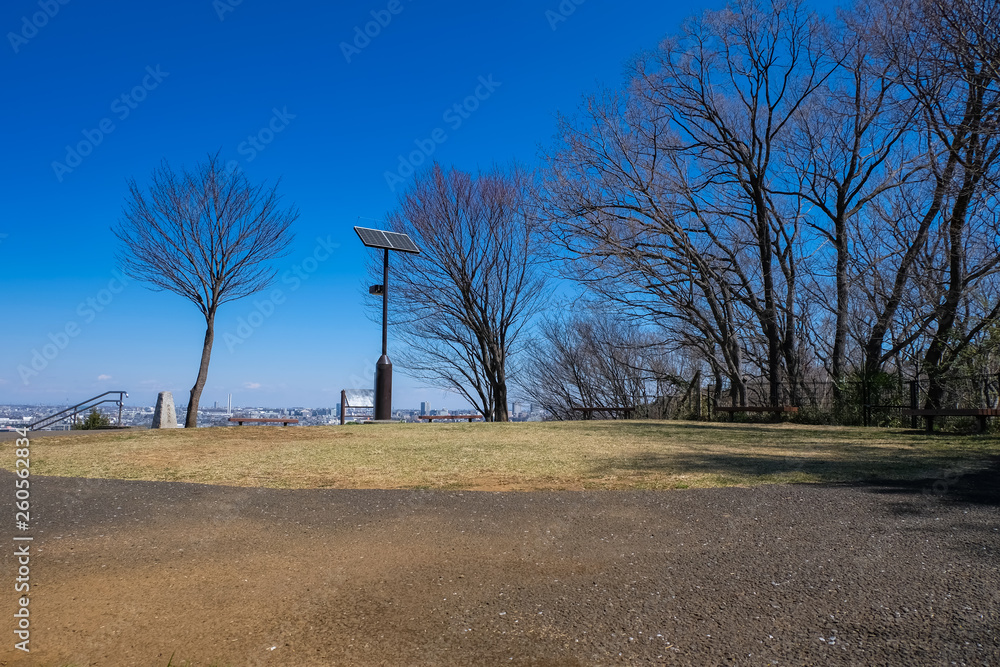 Obraz premium 多摩市 都立桜ヶ丘公園 ゆうひの丘